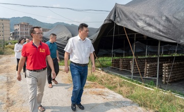 做強特色產業 賦能鄉村振興