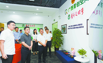 共青團中央書記處書記胡盛一行到柳工考察調(diào)研