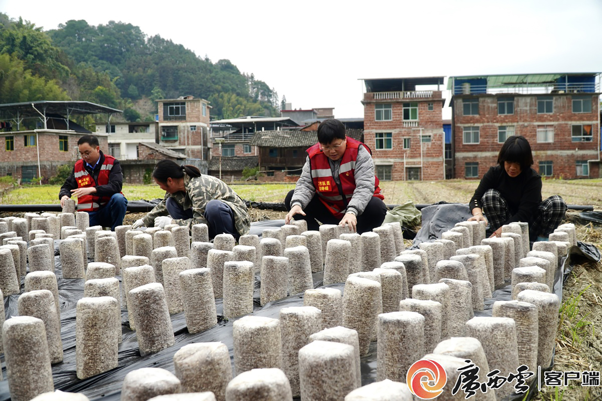 55d6d8cd26de0eec090097e0a8c96296_wm7ad7